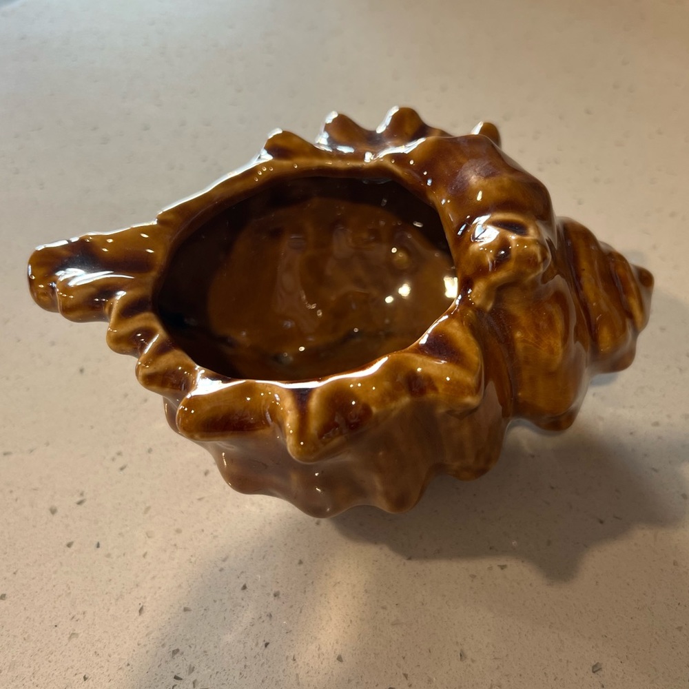 Seashell Planter